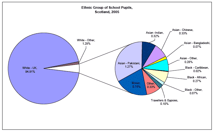 image of Ethnic Group of School Pupils, Scotland, 2005