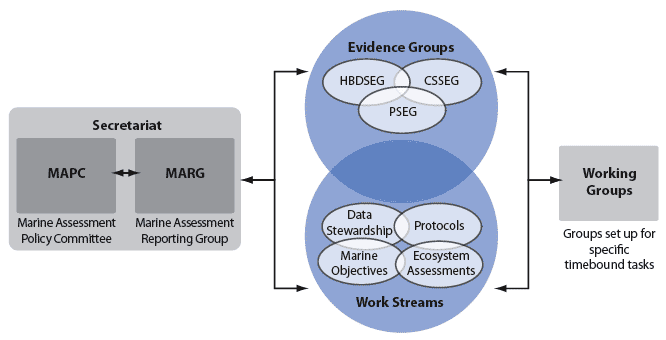 Figure 1.5 UKMMAS Structure
