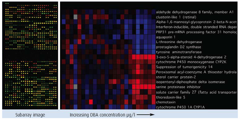 Figure 3.13 Microarray data