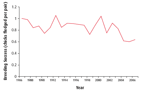 Figure 4.40 Breeding success of seabirds in Scotland (1986-2006)