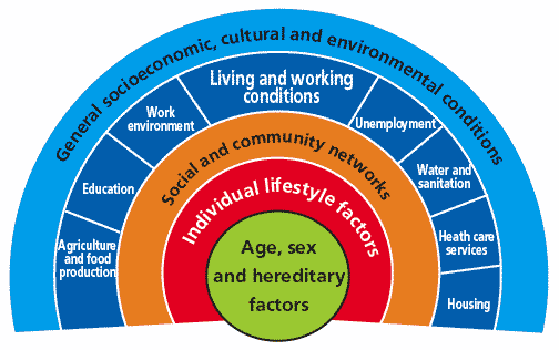 Age, sex and hereditary factors diagram