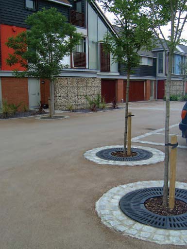 Trees planted in the highway at Newhall, Harlow photo