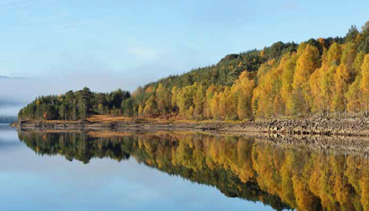 Caledonian pine woodland at Glen Affric National Nature Reserve. ©Lorne Gill/SNH