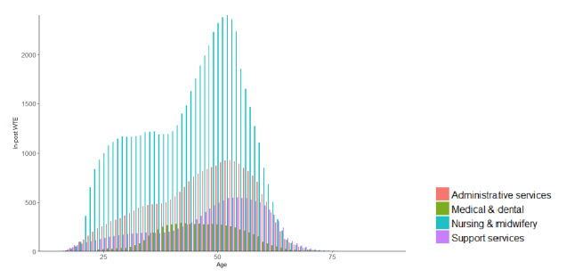 Figure. 1: Demographic composition of NHS Scotland workforce by job family, December 2018 Figure. 1: Demographic composition of NHS Scotland workforce by job family, December 2018