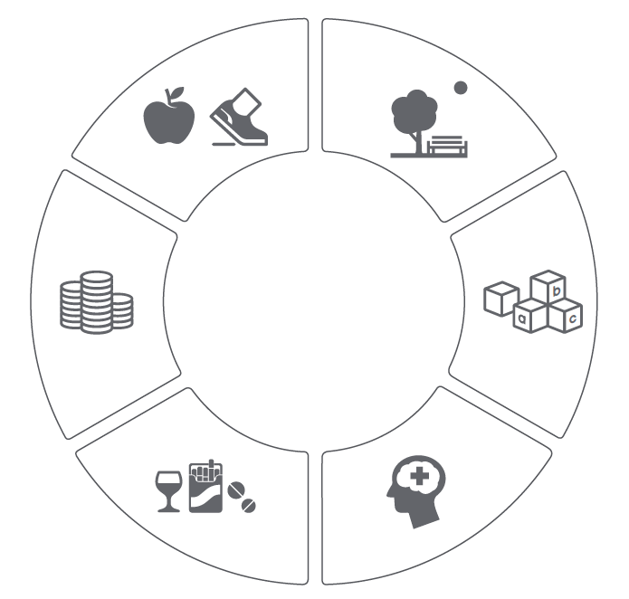 6 Public Health Priorities 6 Public Health Priorities