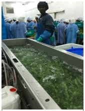 Photo of Aqualution plant in Africa Photo of Aqualution plant in Africa
