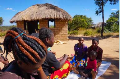 ZYCALA Project, Zambia: young women learning the skills needed to monitor and manage the 174 occupied beehives the group has built. ZYCALA Project, Zambia: young women learning the skills needed to monitor and manage the 174 occupied beehives the group has built.