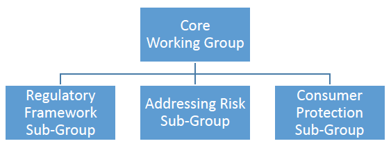 Core Working Group Core Working Group