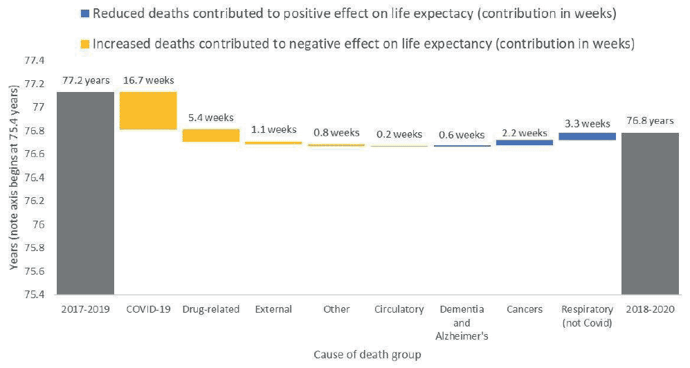 Contributions of disease by groups in life expectancy
