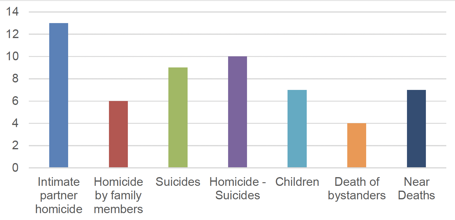 A chart shows the results of a question on the different cases that should be included in the scope of Domestic Homicide Review, with Intimate partner homicide the most selected, followed by Homicides - Suicides, then Suicides, then Children and Near Deaths tied, then Homicide by family members and finally Death of bystanders was the least selected.