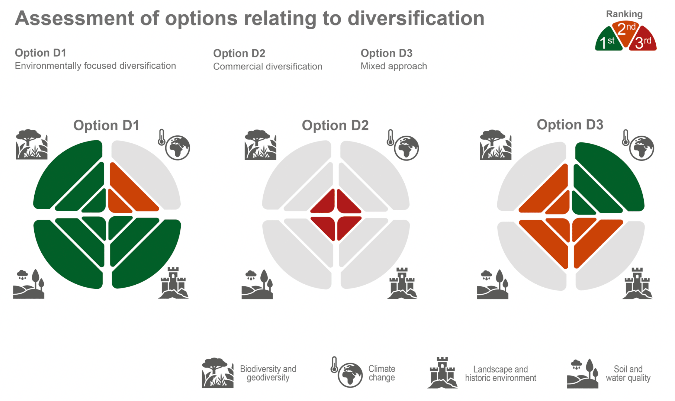 Infographic showing the assessment results of the three options relating to diversification.  Option D1 performs most favourably, ranking first under three of the four SEA topics, followed by Option D3 and then Option D2.