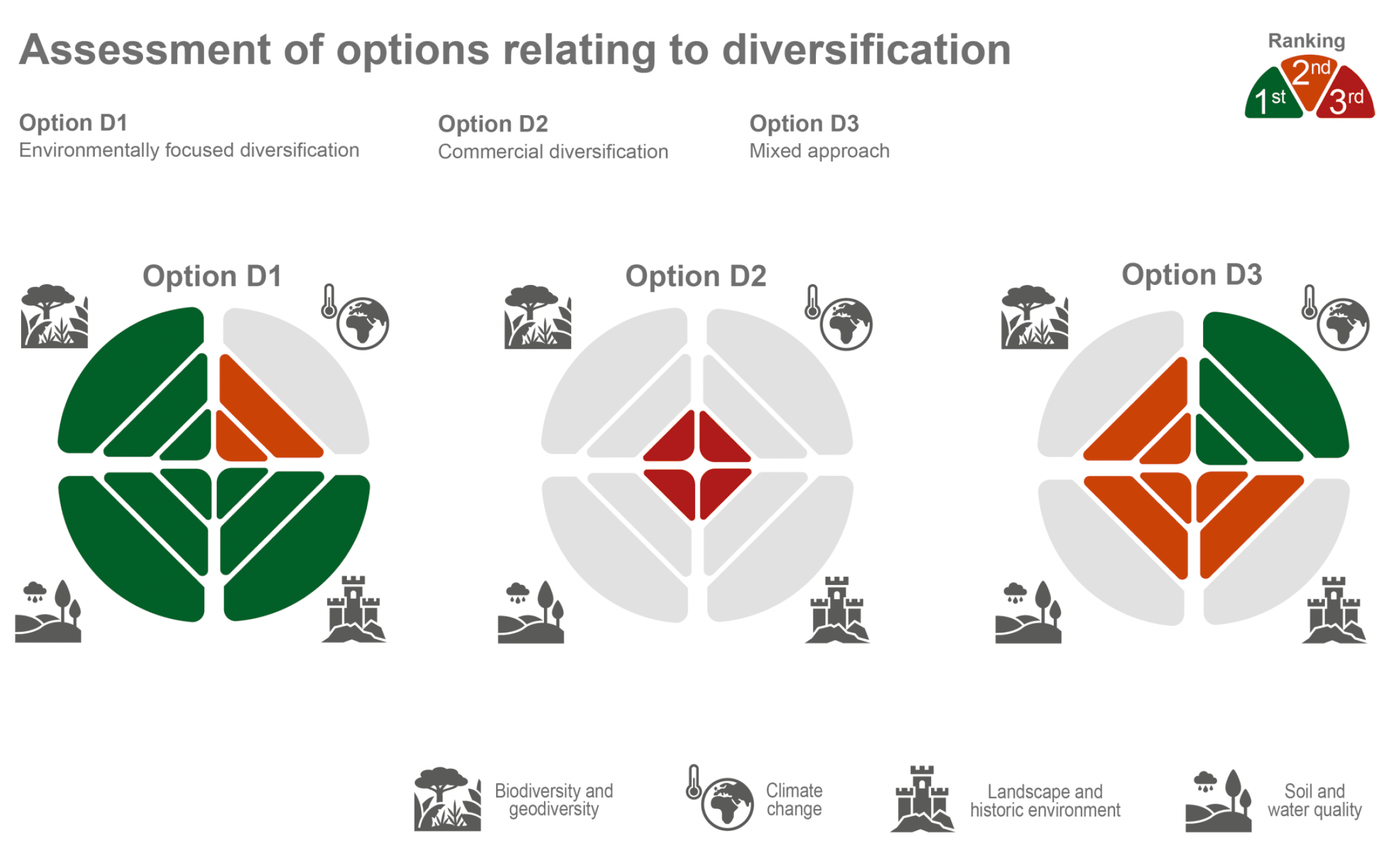 Infographic showing the assessment results of the three options relating to diversification.  Option D1 performs most favourably, ranking first under three of the four SEA topics, followed by Option D3 and then Option D2.