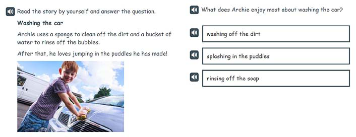 An English example of a P1 Understanding, analysing and evaluating item.