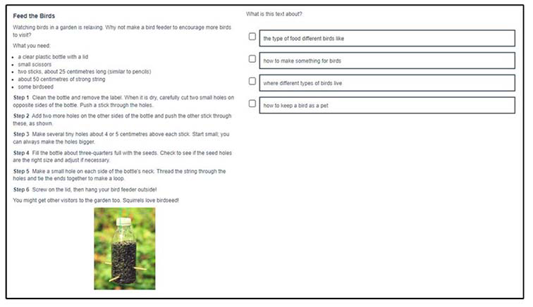 An English example of a P4 Understanding, analysing and evaluating item.