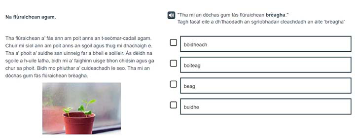 A Gaelic example of a P4 Tools for reading item.