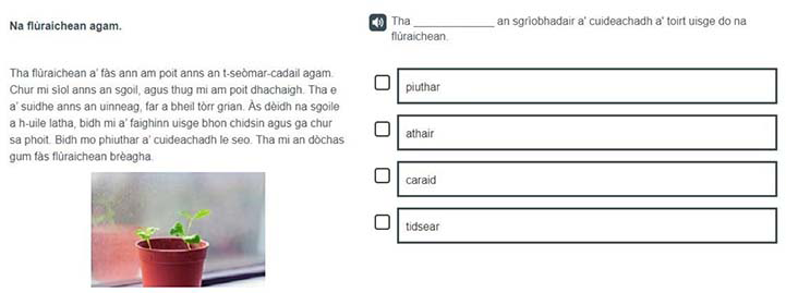 A Gaelic example of a P4 Understanding, analysing and evaluating item.