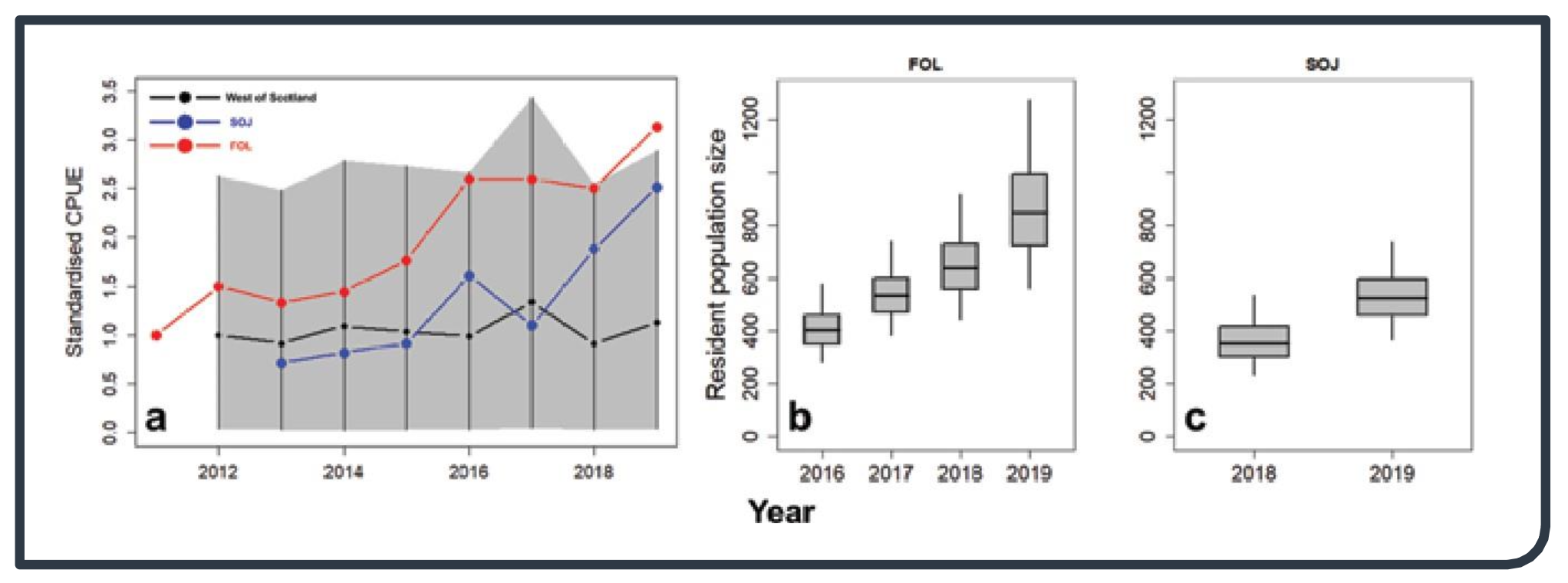 Flapper skate abundance estimates.