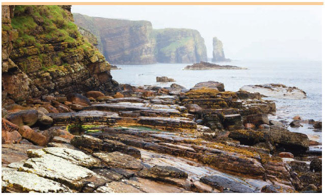 Clett Of Crura Sea Stack, South Ronaldsay Clett Of Crura Sea Stack, South Ronaldsay