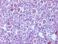 Histology stain