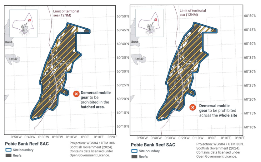 Map showing Pobie Bank Reef SAC located off the East coast of Shetland within the Scottish offshore waters with an overlap into the inshore region. The main map shows the boundary of the Pobie Bank Reef SAC site in blue with areas showing the reefs shown by grey shading. Yellow diagonal hatching marks areas for proposed zonal fisheries management measures in that demersal mobile gear is to be prohibited.
	  
	  Map showing Pobie Bank Reef SAC located off the East coast of Shetland within the Scottish offshore waters with an overlap into the inshore region. The main map shows the boundary of the Pobie Bank Reef SAC site in blue with areas showing the reefs shown by grey shading. Yellow diagonal hatching marks areas for proposed full site fisheries management measures in that demersal mobile gear is to be prohibited.