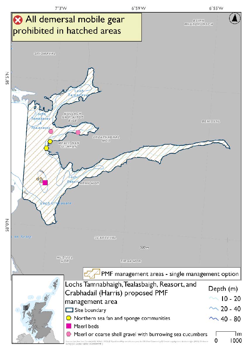 Map shows the area for measures covering Lochs Tamnabhaigh, Tealasbaigh, Resart, and Crabhadail and the adjoining waters. The area's western boundary sits just east of Fladday in the south and Staca Liath in the north. A maerl bed record is found just east of Grèine Sgeir, with two maerl or coarse shell gravel with burrowing sea cucumbers records in Loch Tealasbaigh. Two northern sea fan and sponge communities records are found on the Meall a' Chruidh headland just south of the mouth of Loch Tealasbaigh.
