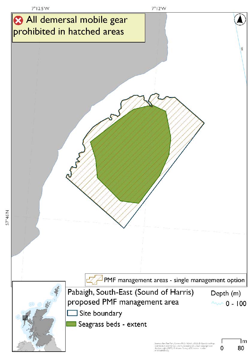 Map shows an area extending from Traigh Baile Fo Thuath on the southeast coast of Pabaigh to be protected. A large seagrass bed occupies most of this area.