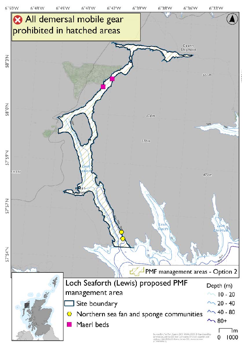 Two maerl bed records exist in the strait just north of Seaforth island near Grigaspool and two northern sea fan and sponge communities records exist near the mouth of the loch near Rhenigdale.