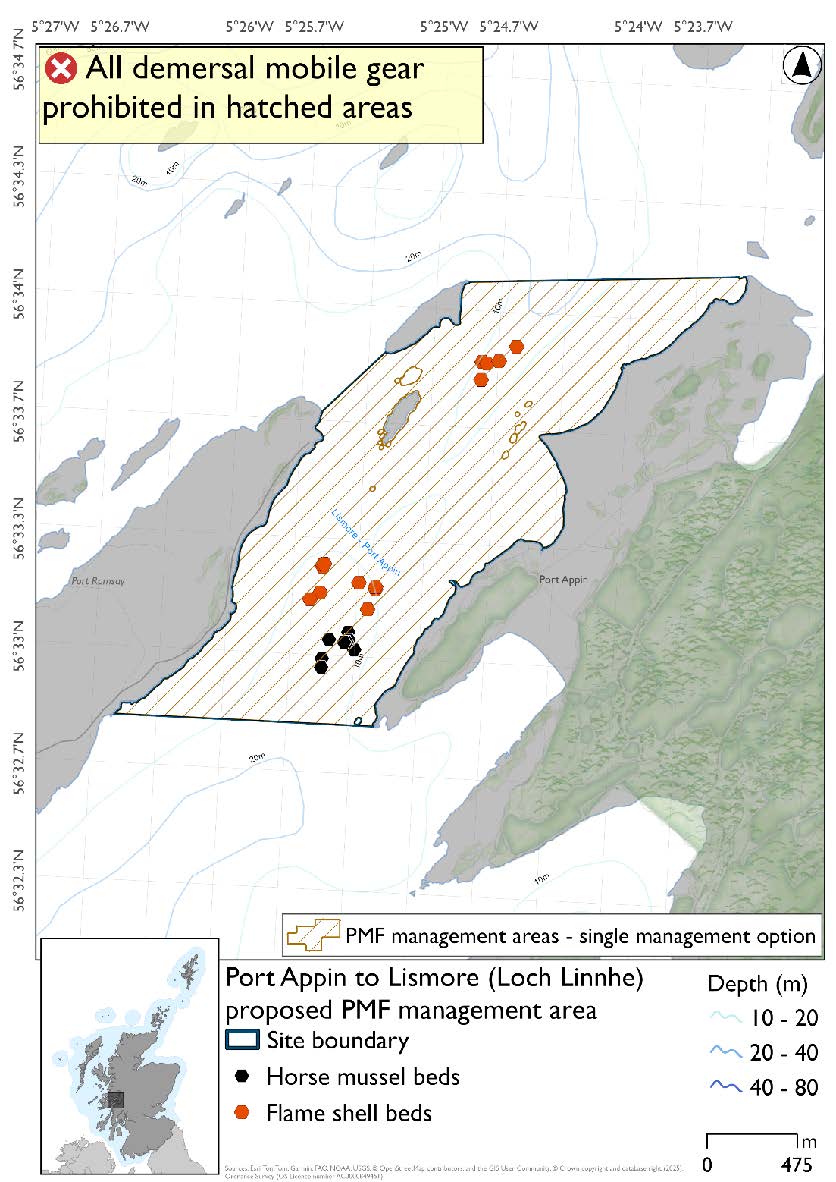 Map showing the area for measures to apply extending from the peninsula north of Ardtur southwards past Port Appin and across to Lismore. Flame shells and horse mussel records are present in the south of the area, with further flame shell records in the north.