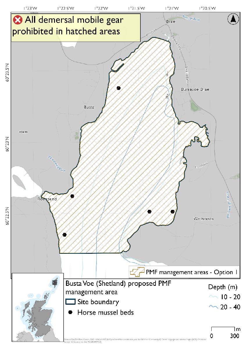 Map shows the area to be protected extending from the Voe-head on the West to a headland. There are 5 records for horse mussel. One near the voe-head and 4 others near the headland where the protected area stops.