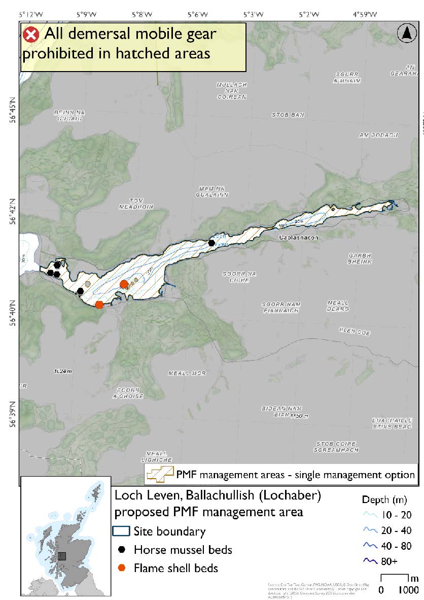 Map shows the area to be protected extending from the head of the loch to the Ballachulish Bridge. There are a cluster of horse mussel records near bridge and one other about halfway in between the head of the loch and the bridge. There are also 2 flame shell records on the south side of the loch near Ballachulish Peninsula.