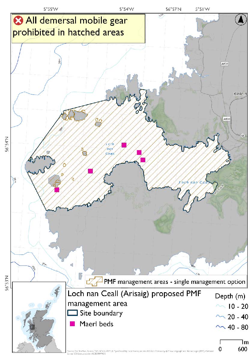 Map shows the area to be protected extending from the head of the loch to headland north of Rhu Point beach and cutting across to the northern point encompassing the Arisaig skerries. There are 5 maerl records at different points from the skerries along the southern coast of the proposed area to about hallway in between the skerries and the head of the loch.