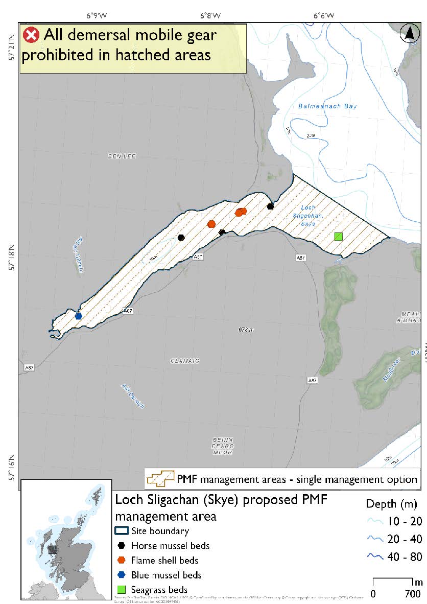 Map shows the area to be protected extending from the head to the mouth of the loch. There are 3 flame shell and 3 horse mussel records about two thirds of the way up the loch. The seagrass record is by the mouth and blue mussel record by the head of the loch.