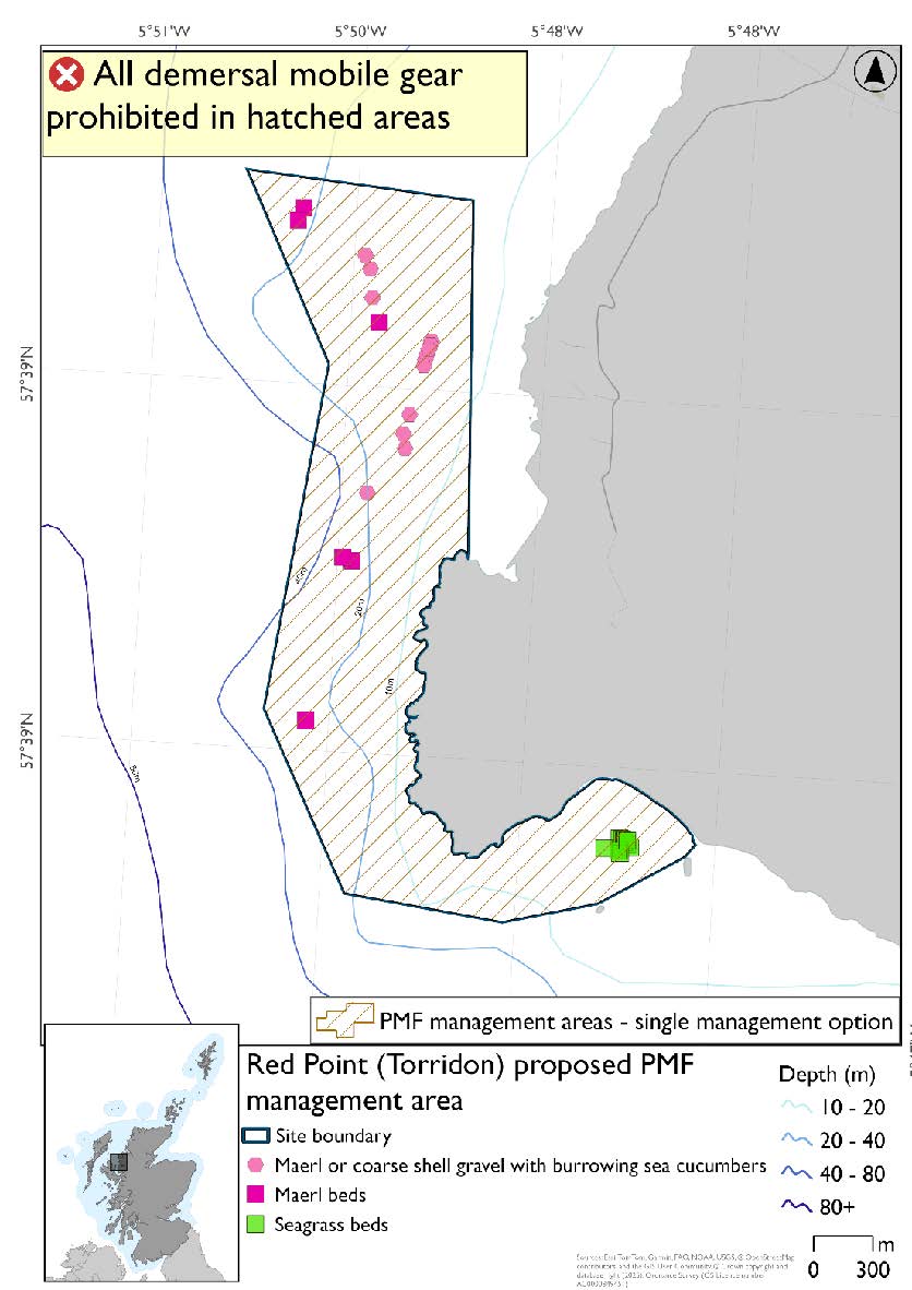 Map shows the area to be protected extending from the sea north of red point, then joining the coast at red point beach and extending round the coast into the mouth of loch Torridon. There are 2 maerl records at the north end of the proposed area and another of off Red Point. There are 7 records and a large cluster of maerl or coarse shell gravel with burrowing sea cucumbers in the north part of the area off the coast north of red point. There is also a large cluster of seagrass records south East of Red Point in the mouth of Loch Torridon