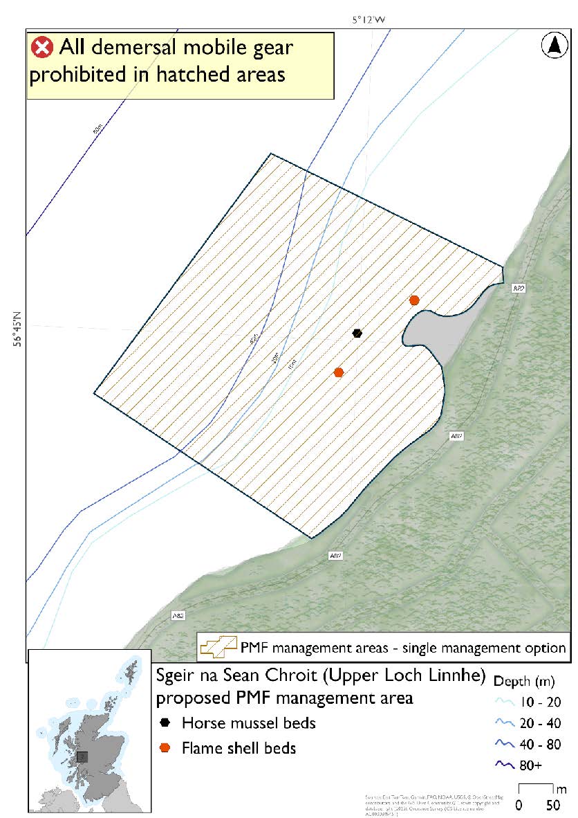 Map shows the area to be protected extending from the southern coast of Loch Linnhe, north east of Corran and stretches some 400m across. There are 2 flame shell records and one horse mussel record near the coast by the Linnhe picnic area.