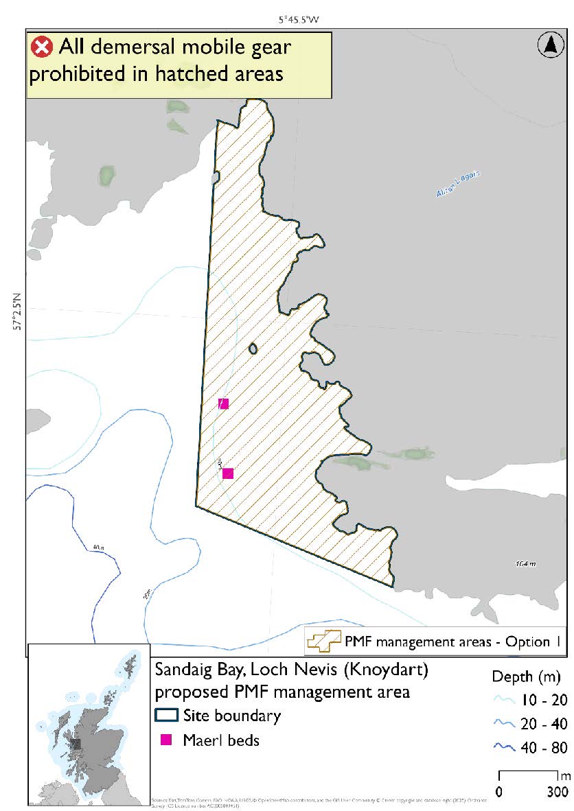 Map shows the area extending from the coast out into the bay to form a point. There are two maerl records by the point just past a small skerry.