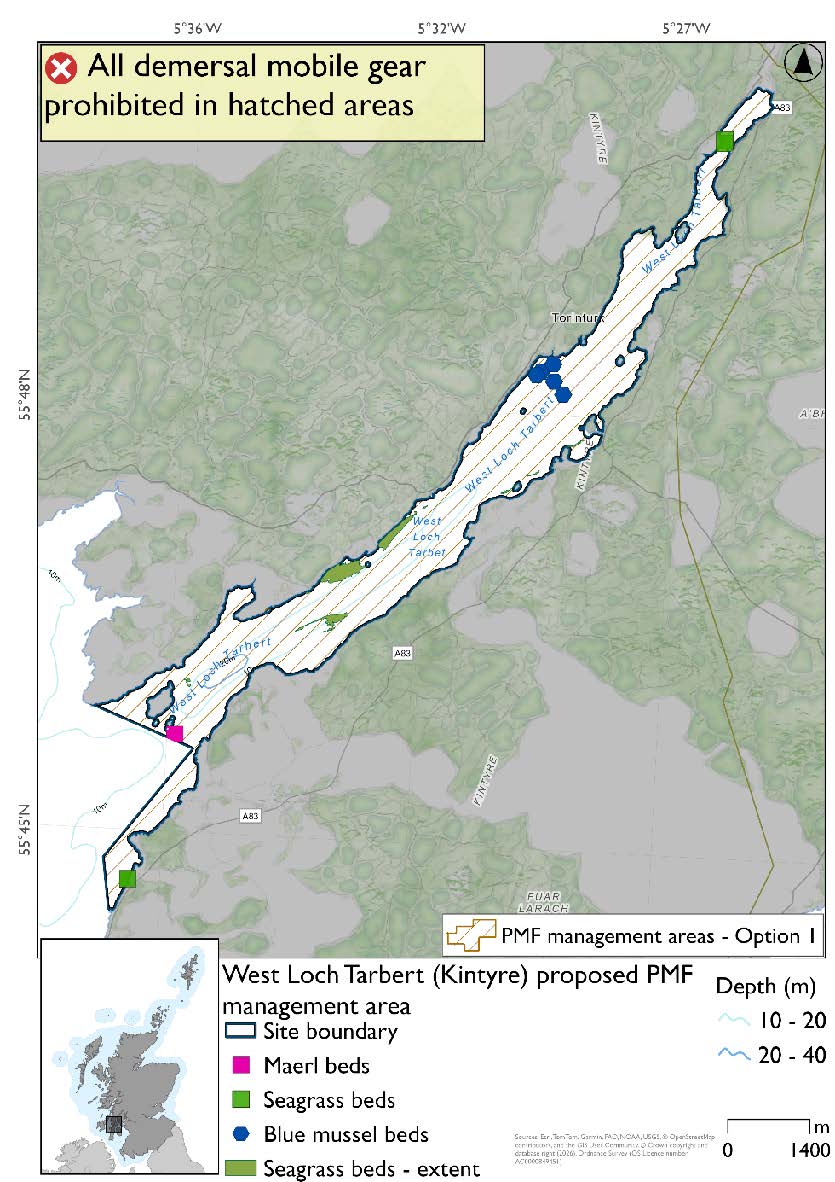 Map shows area to be protected extending through West Loch Tarbert to the mouth of the loch and sliver by the coast to the south. A Maerl bed record is evident in the mouth of the loch, with seagrass at the head of the loch, in the southern portion along the northwestern coast, and in the southern sliver. A cluster of blue mussel beds are evident just southwest of Torinturk.