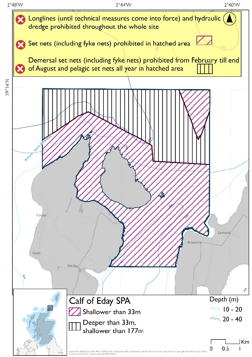 Map shows Calf of Eday SPA, a square shaped area covering the waters surrounding Calf of Eday cut into by the Eday and Sanday coasts and stretching northwards. The majority of the area is shallower than 33m, with the northern third deeper than 33m but shallower than 177m except a small part of the northeast which is shallower than 33m. In the areas shallower than 33m set nets (including fyke nets) are prohibited. In the deeper areas pelagic set nets are prohibited year round, with demersal set nets (including fyke nets) prohibited February to end of August. Longlines (until technical measures come into force), and hydraulic dredges are prohibited throughout the SPA.