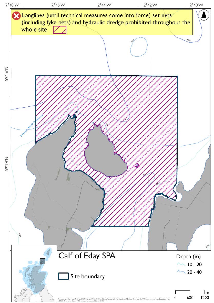 Map shows Calf of Eday SPA, a square shaped area covering the waters surrounding Calf of Eday cut into by the Eday and Sanday coasts and stretching northwards. Set nets (including fyke nets), longlines (until technical measures come into force), and hydraulic dredges are prohibited throughout the SPA.