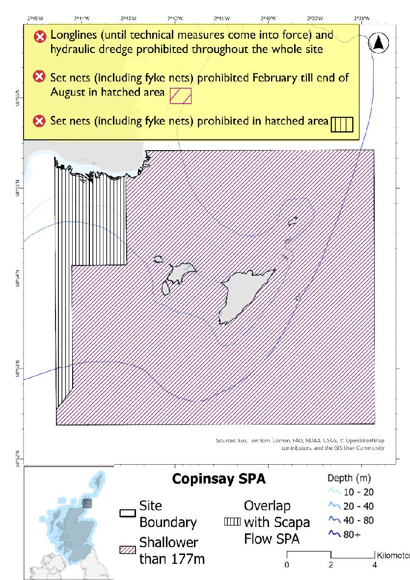 Map shows Copinsay SPA, a large area of waters surrounding Copinsay and Corn Holm extending outwards in a roughly square shape, with an indent below where it meets the Orkney mainland in the northwest. Set nets (including fyke nets) are prohibited across the site from February till end of August apart from overlapping area with the Scapa Flow SPA where set nets (including fyke nets) are prohibited all year . Hydraulic dredges, longlines (until technical measures come into force).