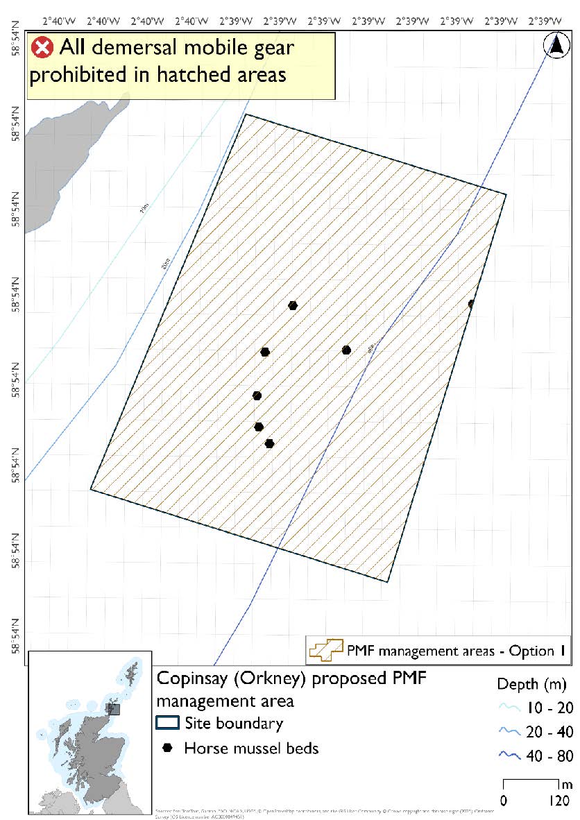 Map shows the protected area to the east of Copinsay, with its shallowest point at 20 metres depth. Horse mussel beds are evident in the centre of this area