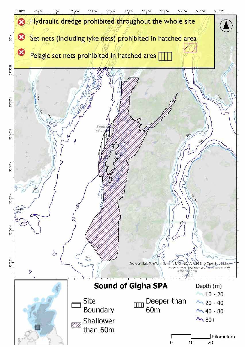 Map shows Sound of Gigha SPA, an area of waters running from Machrihanish in the south to the mouth of Loch Caolisport in the north, extending seawards to take in the waters surrounding Gigha. Almost all of the site is shallower than 60m, with only a small sliver northwest of Gigha being deeper. In this deeper area pelagic set nets are prohibited. In the rest of the site set nets (including fyke nets) are prohibited. Hydraulic dredges are prohibited throughout the site.
