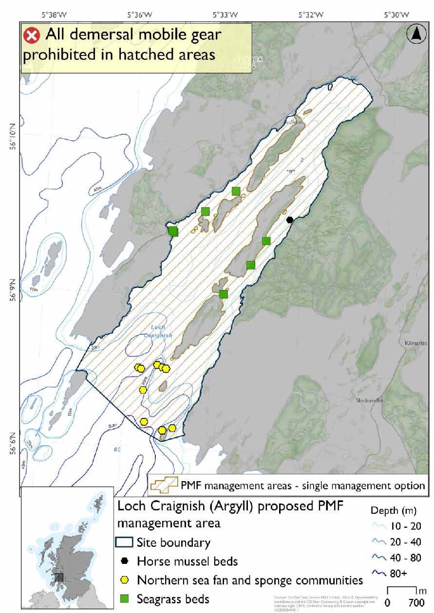 Map showing area to be restricted extending through Loch Craignish out to the outlying islands. Northern sea fan and sponge communities are evident in the outer portions of the area, with seagrass further in, and a horse mussel bed record in the east.