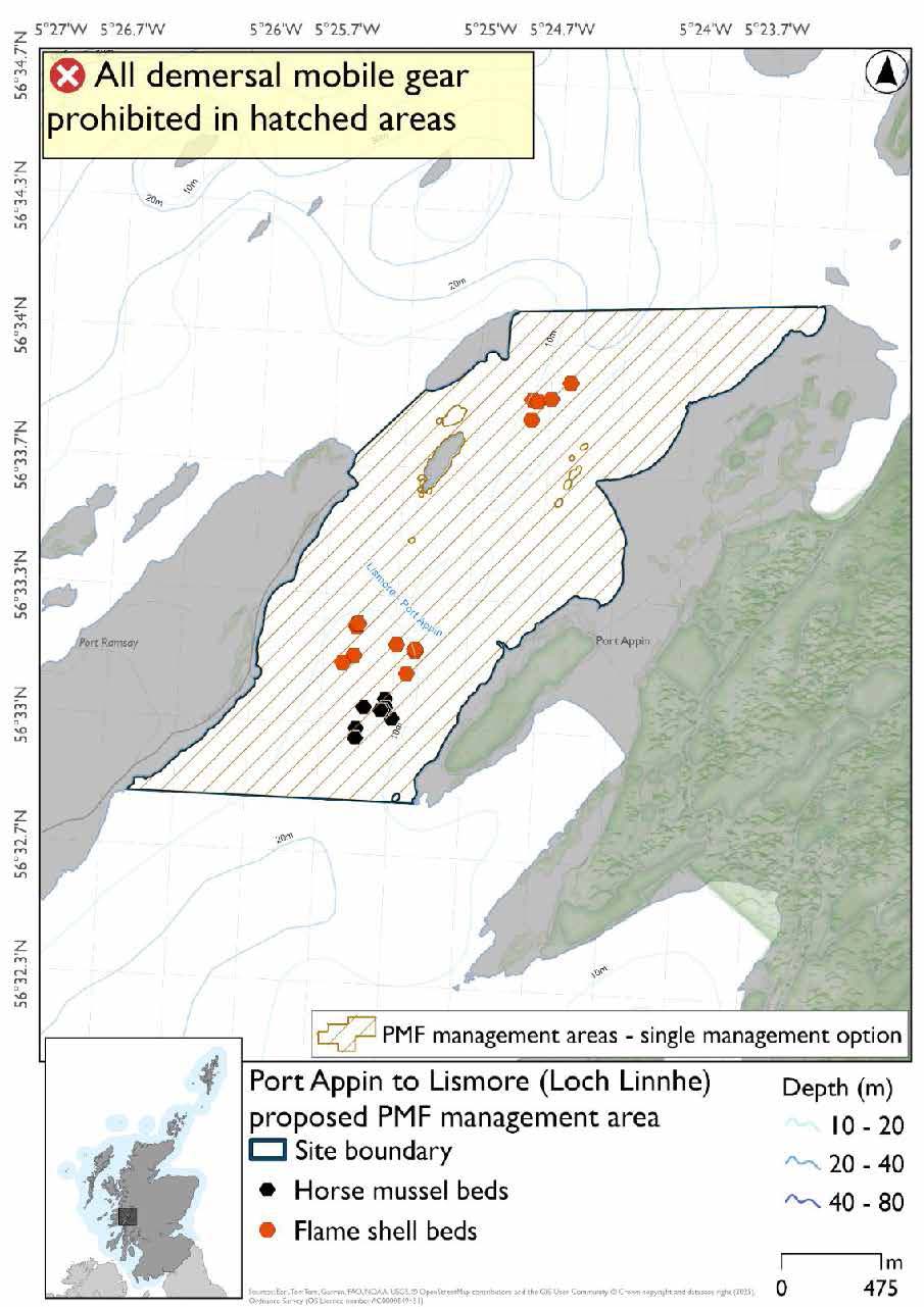Map showing the area for measures to apply extending from the peninsula north of Ardtur southwards past Port Appin and across to Lismore. Flame shells and horse mussel records are present in the south of the area, with further flame shell records in the north.