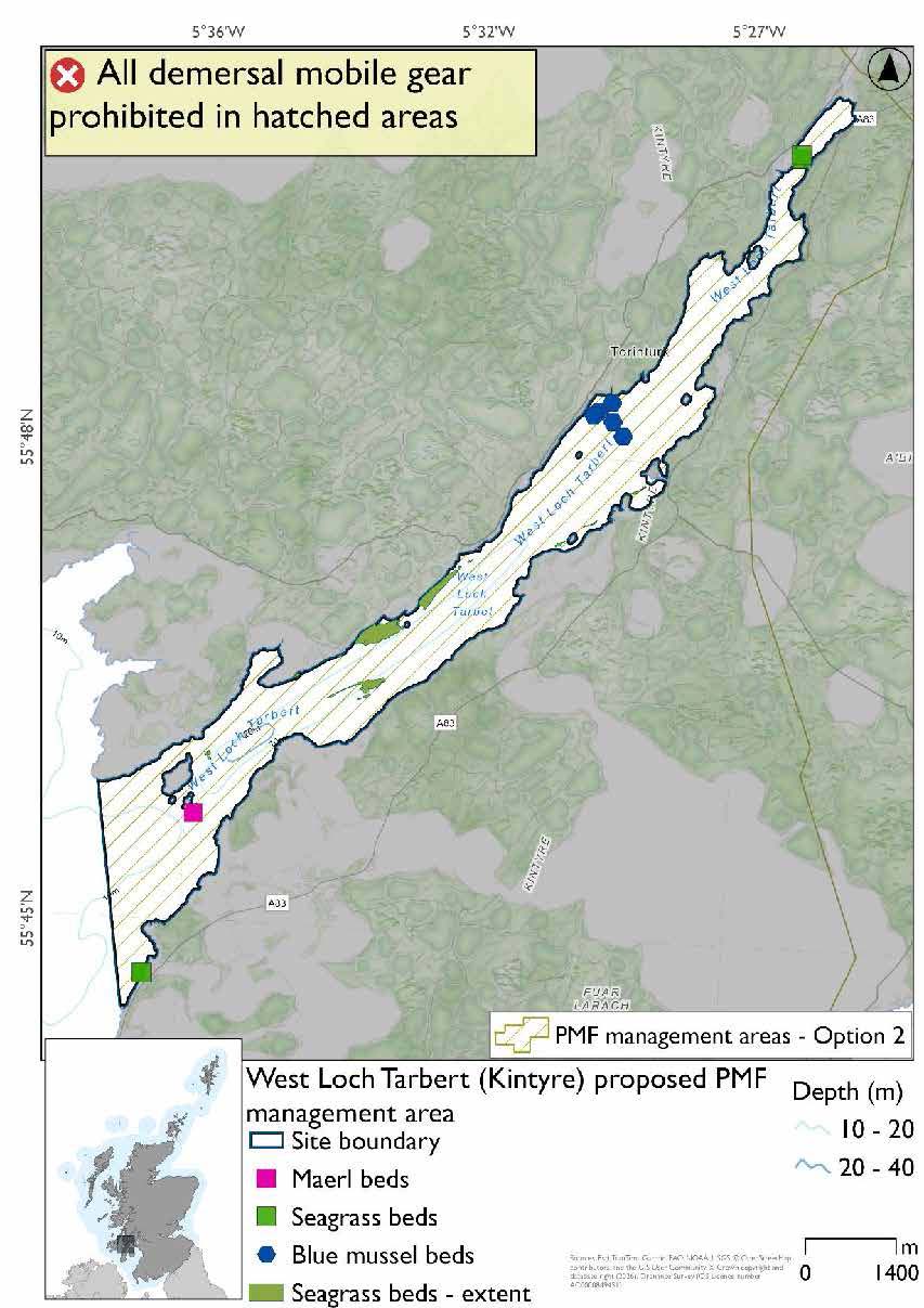 Map shows the area to be protected extending through West Loch Tarbert as far as a north-south line from the tip of the Ardpatrick peninsula. A Maerl bed record is evident in the mouth of the loch, with seagrass at the head of the loch, in the southern portion along the northwestern coast, and in the southernmost portion. A cluster of blue mussel beds are evident just southwest of Torinturk.
