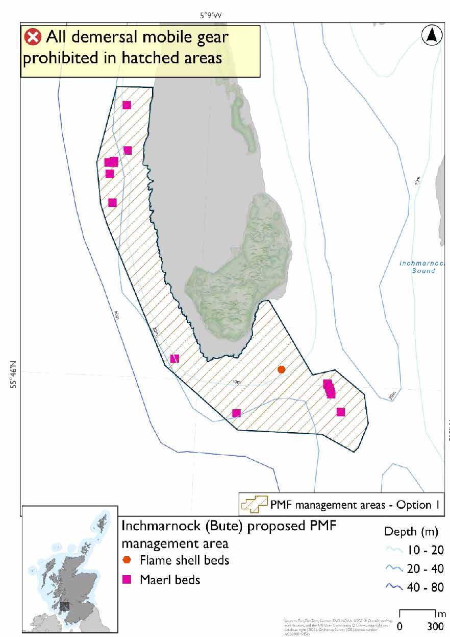 Map shows area to be protected extending down the west coast of Inchmarnock round the southern tip and out into the waters to the southeast. Maerl bed records are evident throughout the area, especially in the northwest and open waters in the southeast. A flame shell bed record is present in the southeast.