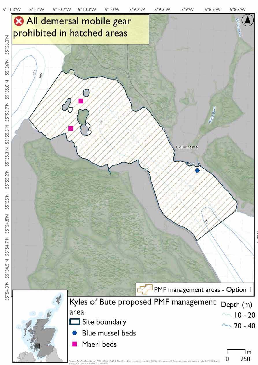 Map showing the area to be protected extending from the northwest of the Kyle down past Colintravie. Maerl bed records exist in the northwest, with blue mussel beds evident just southeast of Colintravie.