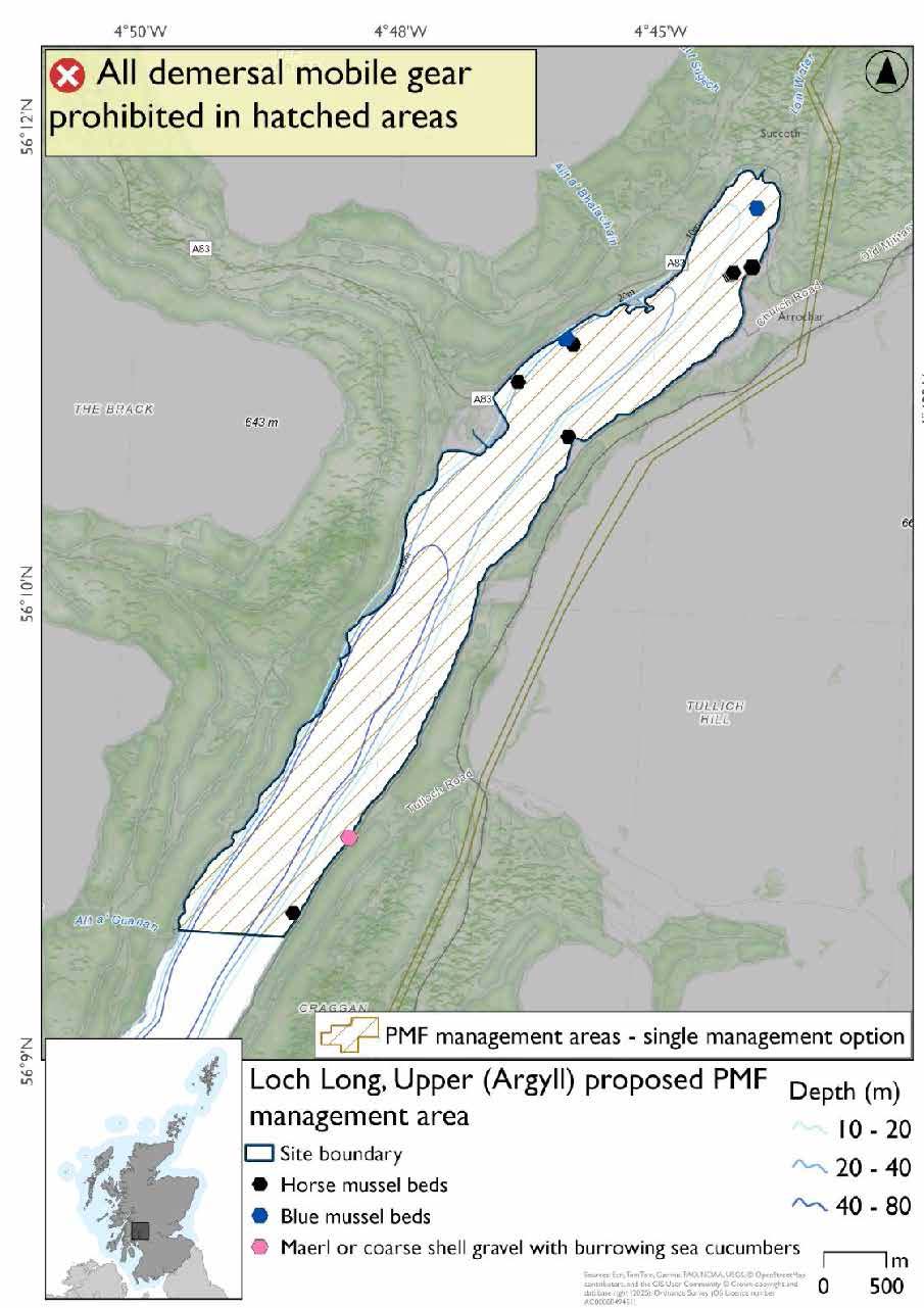Map shows the area where the measures will apply extending through the upper half of Loch long. Blue mussel beds are evident in the upper third of the area, horse mussel beds are evident in the northern third and the south of the area, and a maerl or coarse shell gravel with burrowing sea cucumbers record is present in the southeast.