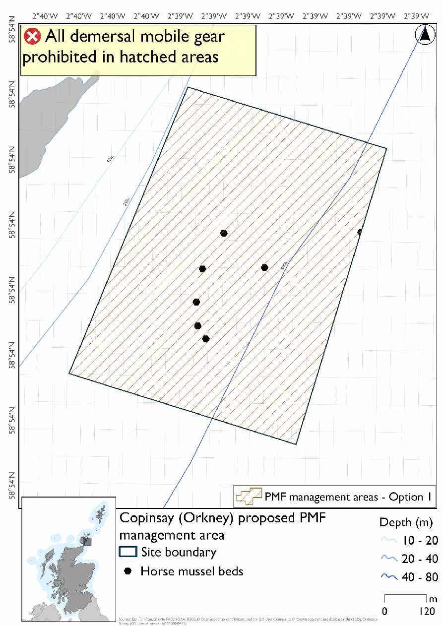 Map shows the protected area to the east of Copinsay, with its shallowest point at 20 metres depth. Horse mussel beds are evident in the centre of this area