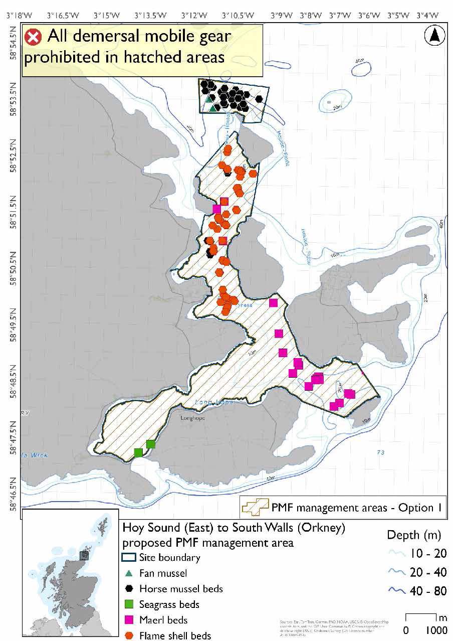Map shows the area for measures covering the waters east of Hoy as far as Switha in the southeast and Cava in the Northeast. A small distinct area exists north of Cava. In this small area there are many horse mussel records and some fan mussels. Throughout the north of the main section of the area there are flame shell, horse mussel, and maerl bed records. maerl beds also exist near the coast of Flotta, and seagrass records on the northwest coast of South Walls.