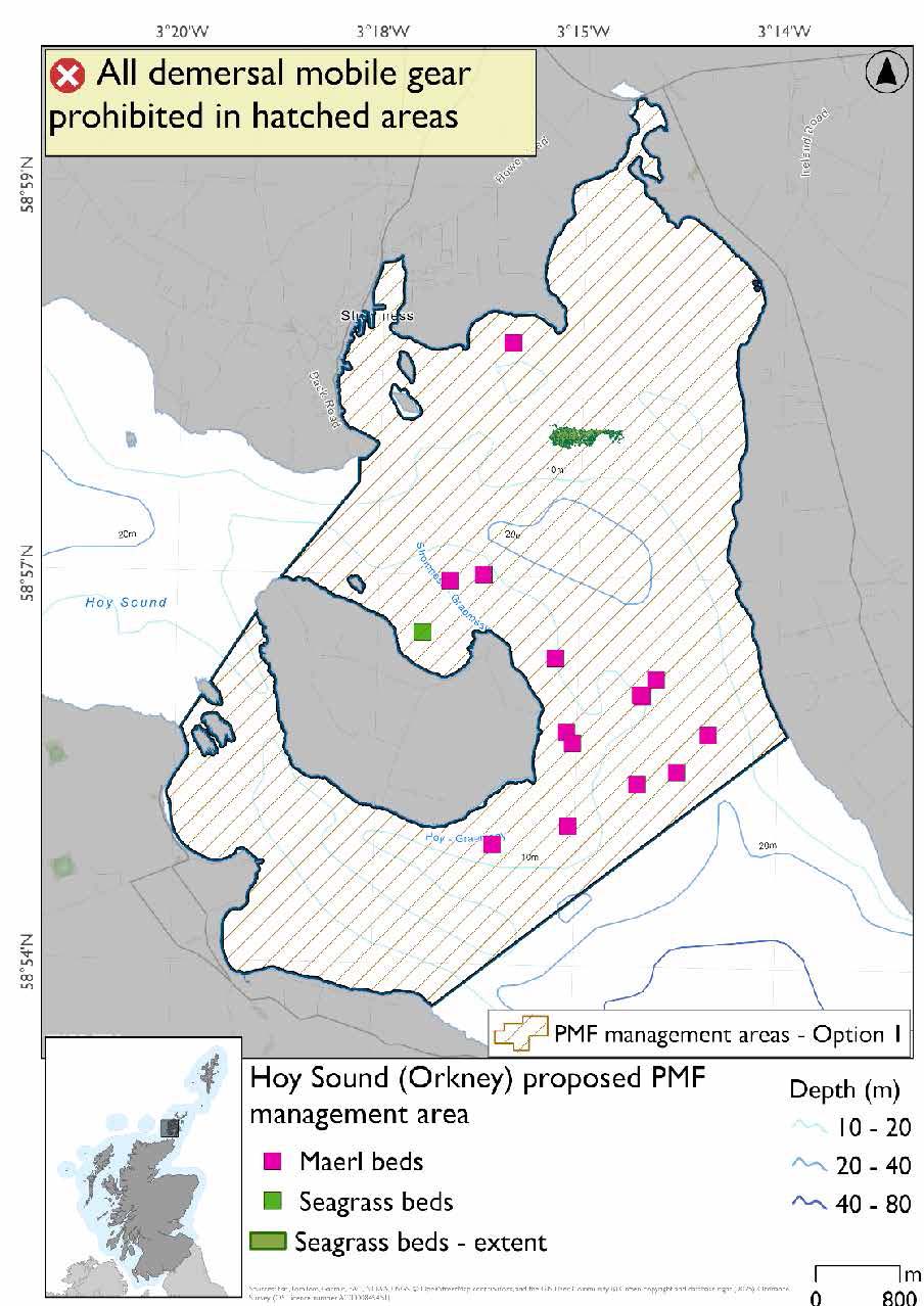 Map shows the area for measures extending between Hoy and Mainland through the northwest tip of Graemsay and down a short way past the eastern extent of Graemsay. Maerl bed records are evident in the north and east of the area, with seagrass beds evident north of Graemsay.